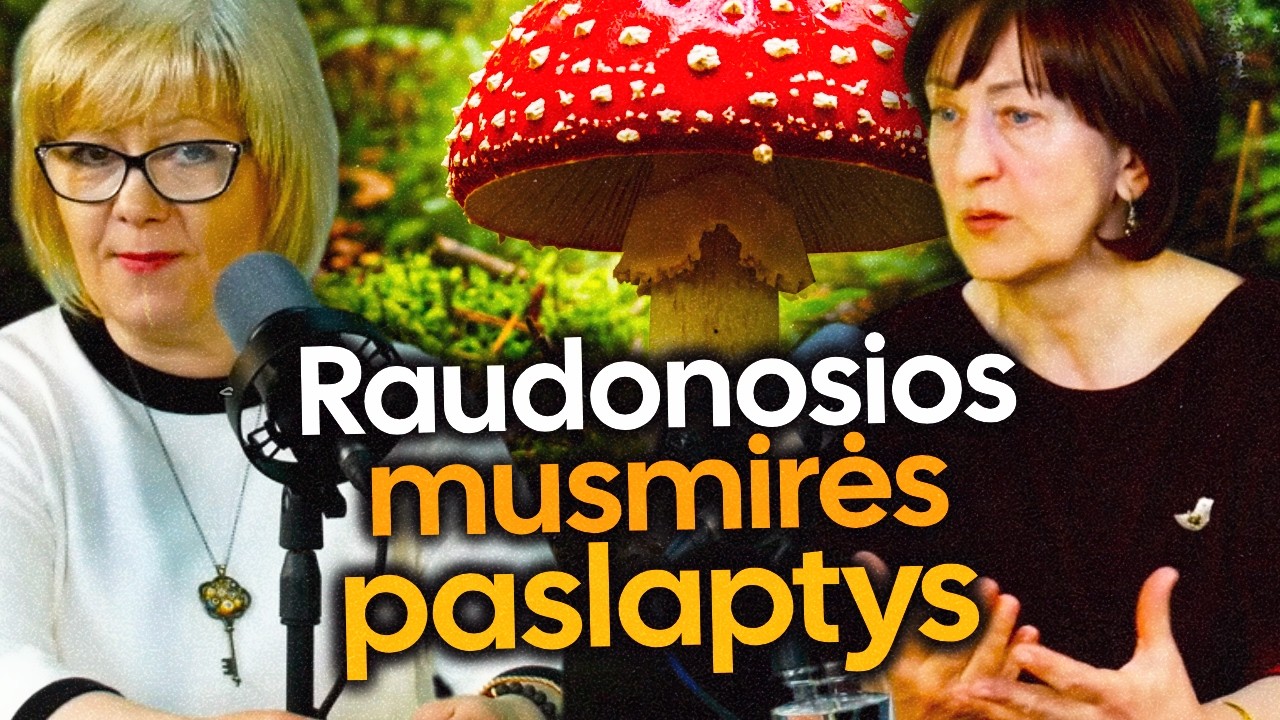 Amanita Muscaria - nuodas ar vaistas? Poveikis smegenims, gydomosios savybės, draudimai Lietuvoje