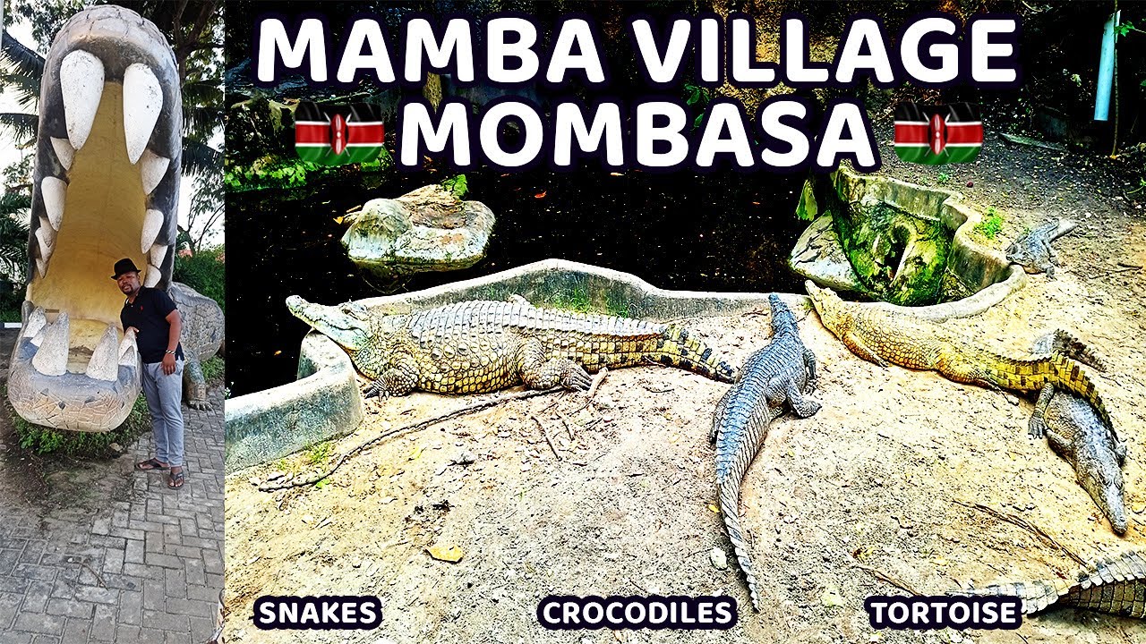 🐍🐊 The Largest Crocodile Farm in Mombasa: Mamba Village Centre #hiddengems #nature #travel #wildlife