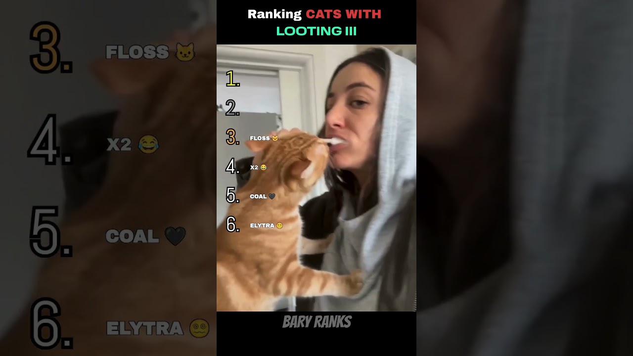 Why you can't trust cats with Looting III 😹🚫