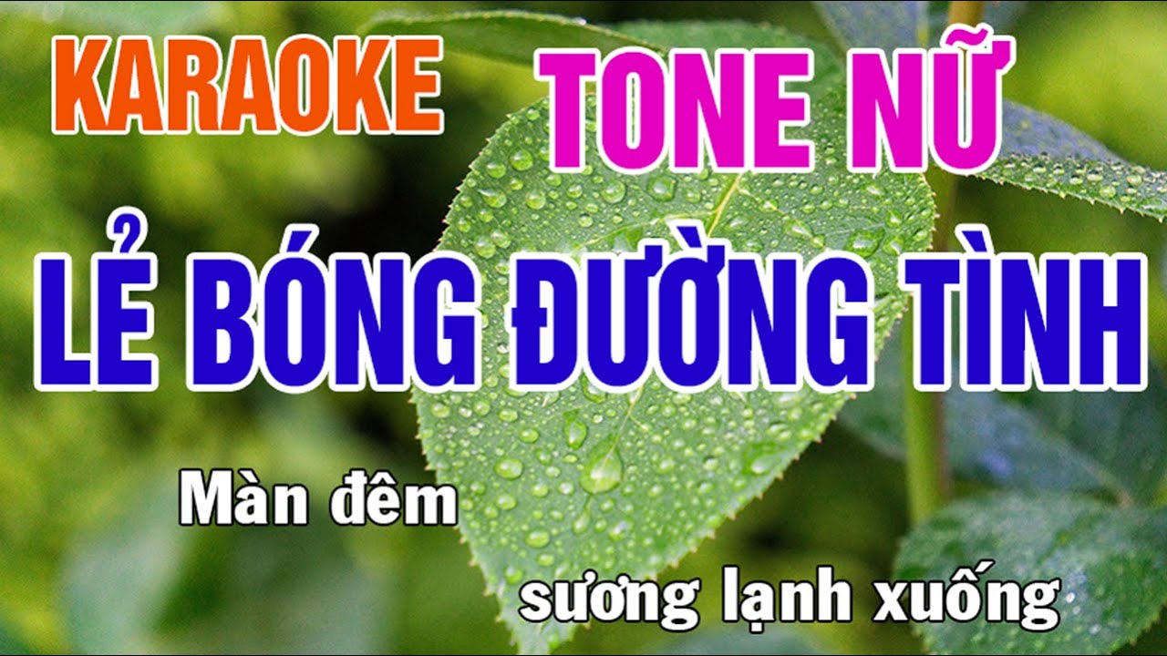 Lẻ Bóng Đường Tình Karaoke Tone Nữ Nhạc Sống - Phối Mới Dễ Hát - Nhật Nguyễn