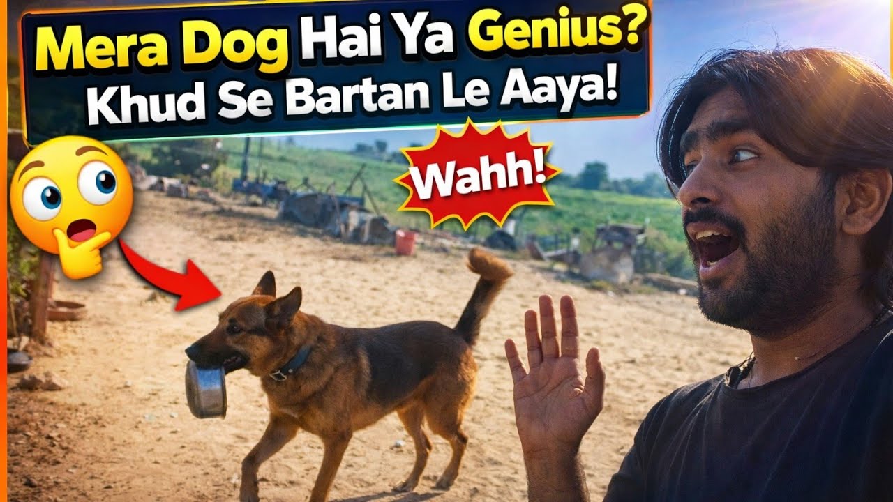 Day 49 Mera Smart Dog Khud Apna Khane Ka Bartan Lata Hai!”