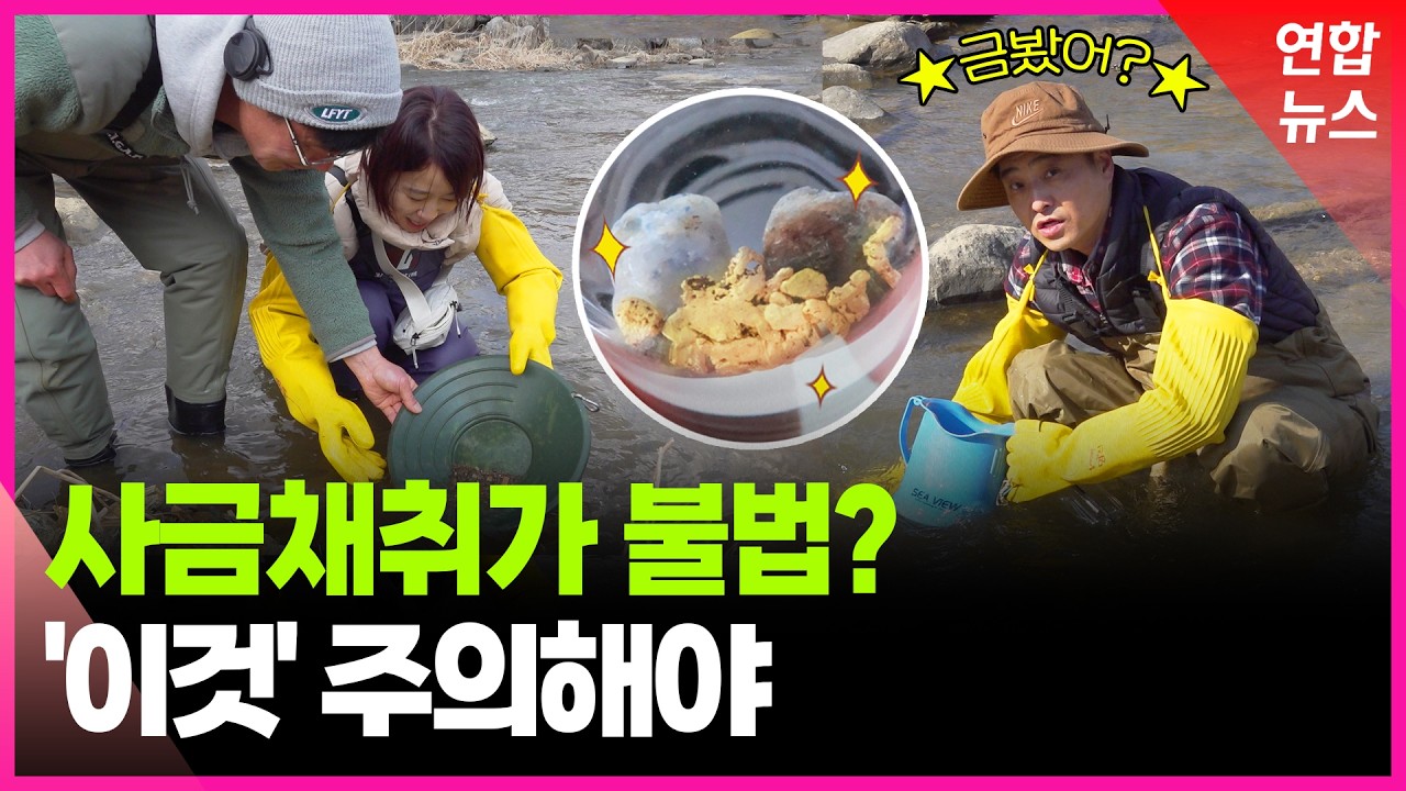 하천에서 금이? 사금채취 따라가보니…