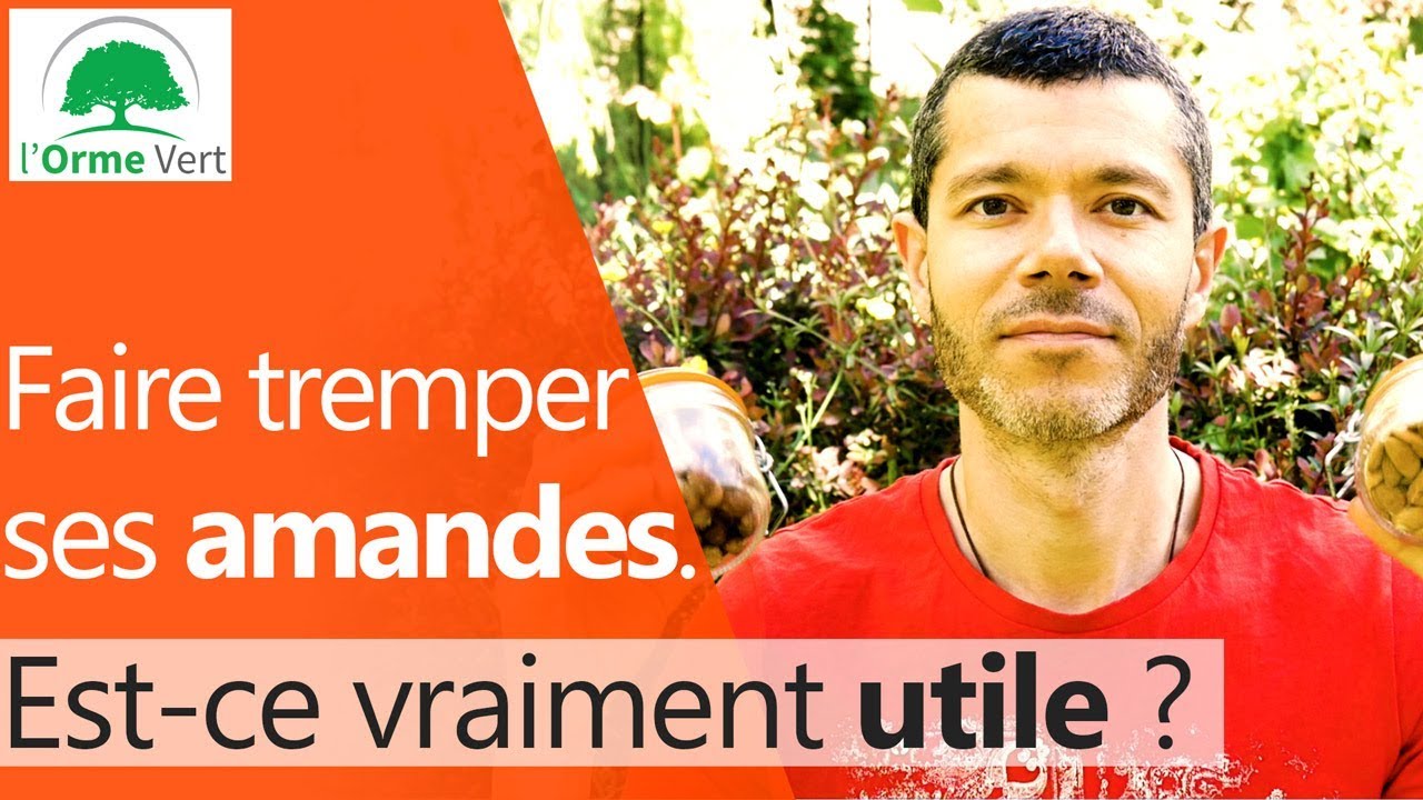 Faire tremper ses noix, noisettes ou amandes. Est-ce que ça a un réel intérêt ? [2019]