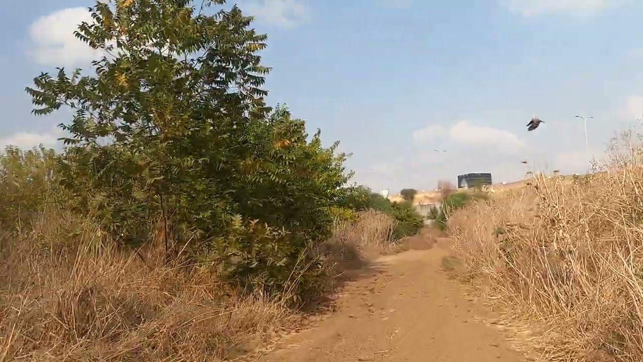 התחדשות גיל עמל - הרמפה החדשה מעל לשכונה