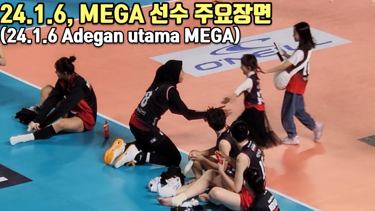 24.1.6, MEGA 주요장면 (Adegan utama MEGA) #여자배구 #volleyball #정관장 #mega #megatron #megawati #redspark