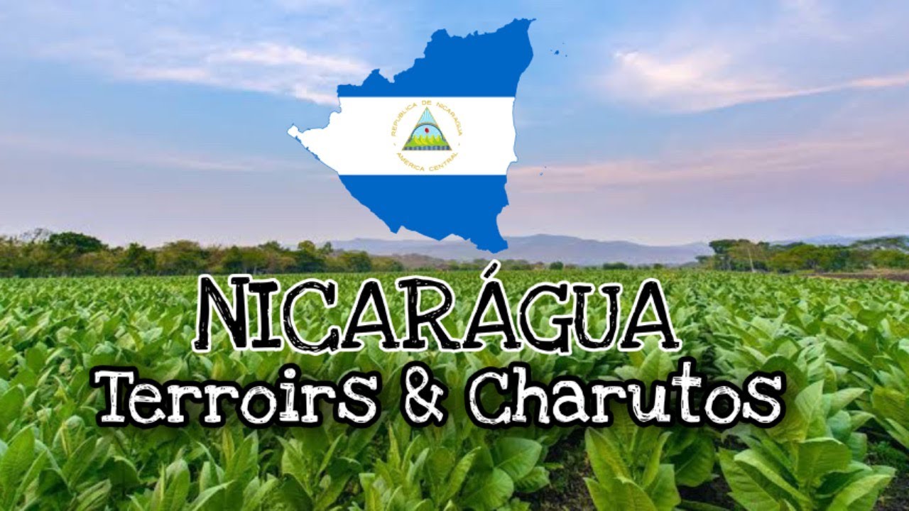 CHARUTOS DA NICARÁGUA | Produção e Terroir