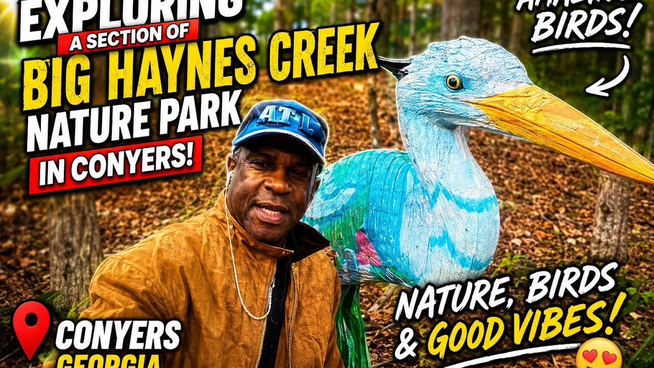 Exploring a Section of Big Haynes Creek Nature Park in Conyers Georgia.