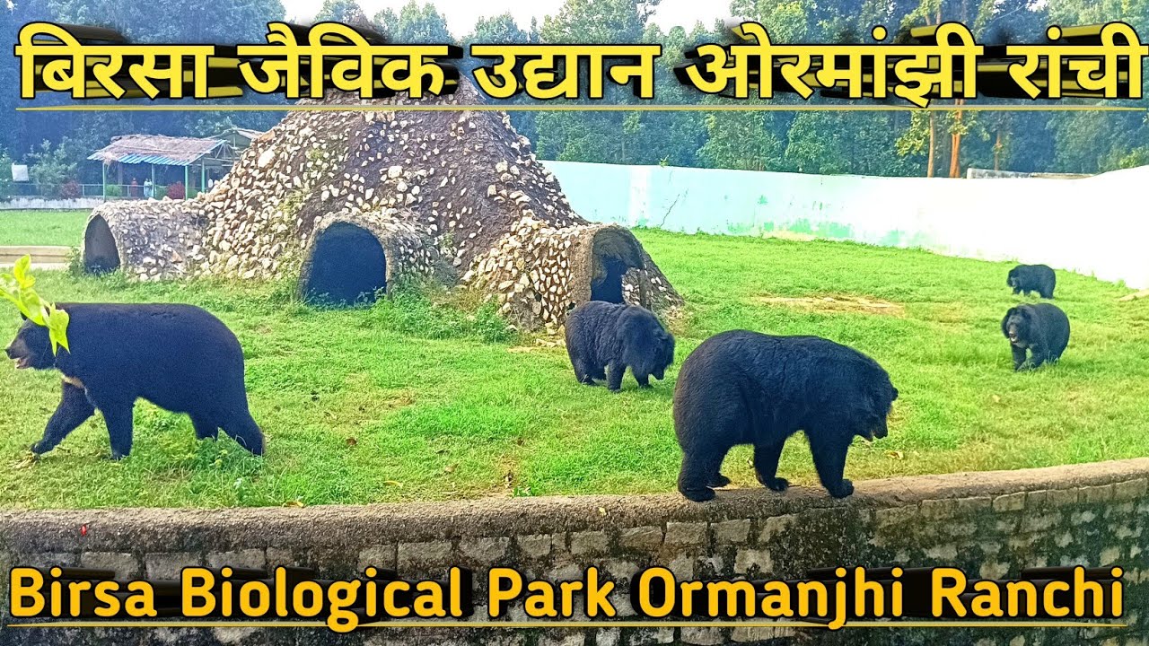 बिरसा जैविक उद्यान ओरमांझी रांची 😺//Birsa Biological Park Ormanjhi Ranch👻i//@shiningjharkhand