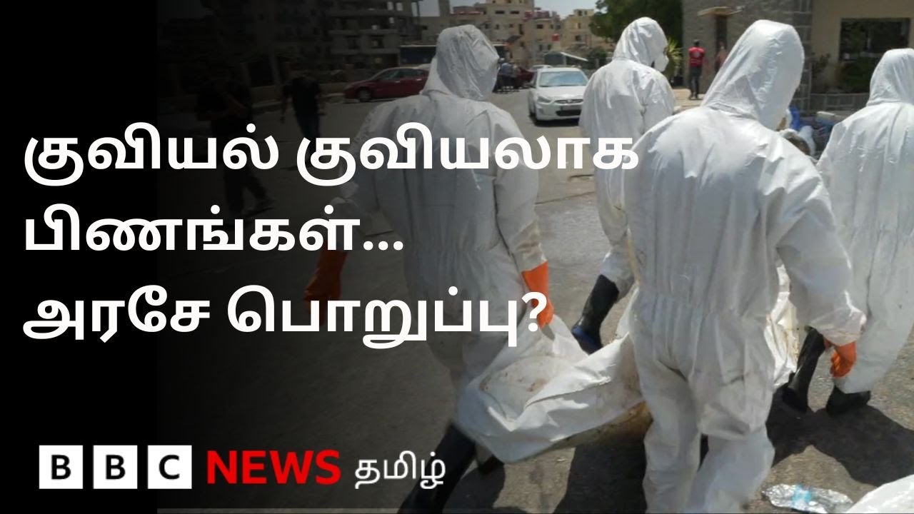 பிபிசி தமிழ் தொலைக்காட்சி செய்தியறிக்கை | BBC Tamil TV News 23/07/2025