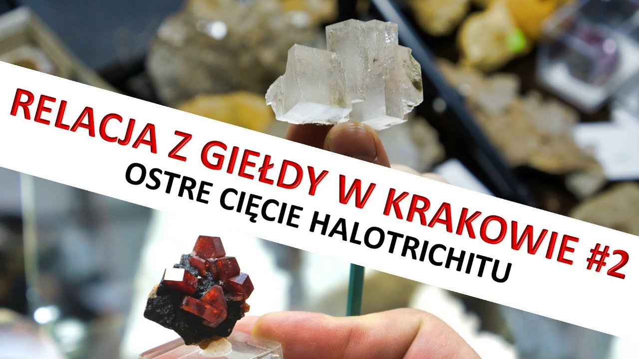 💥 Relacja z giełdy minerałów w Krakowie #2 💎 Mineral Show & Sale in Kraków #2