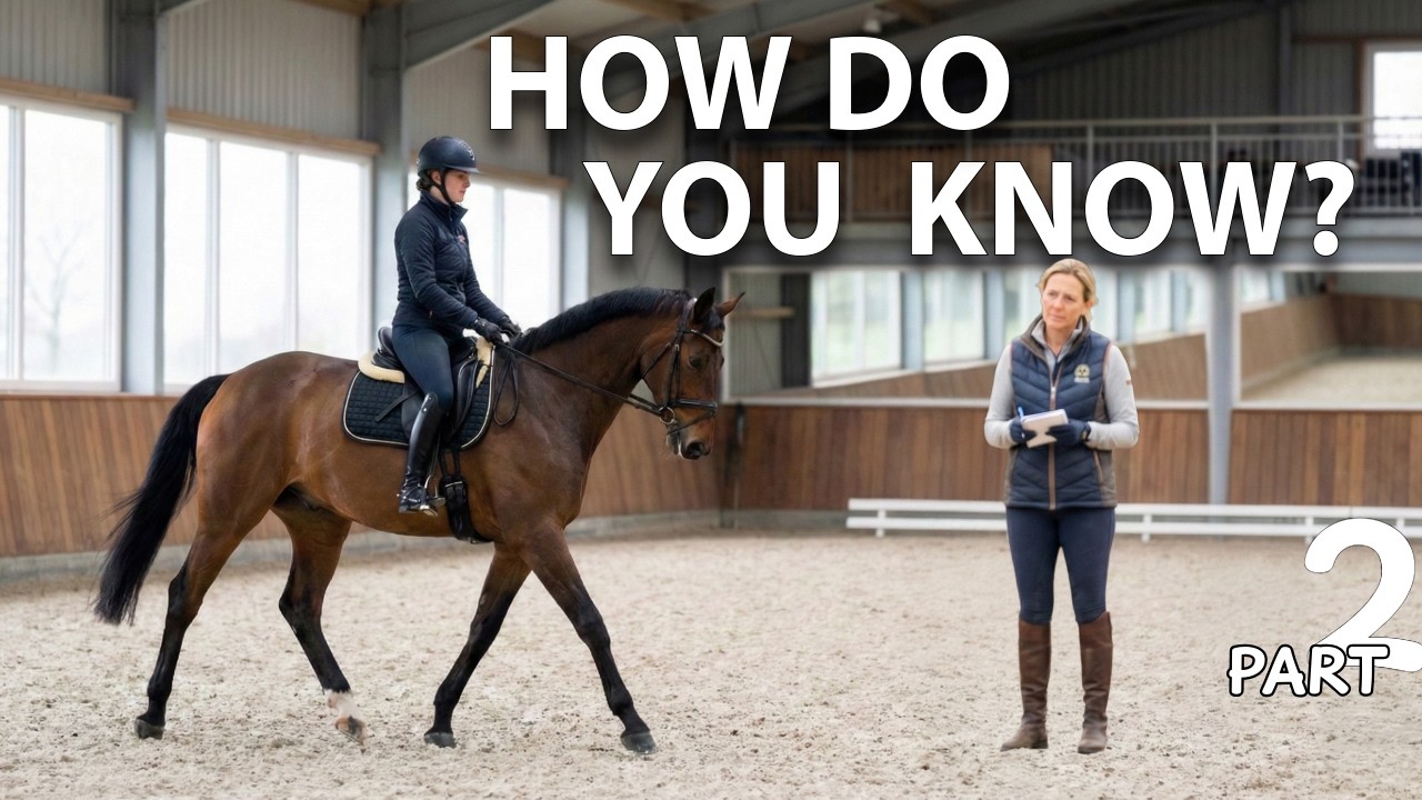 3 Questions Every Rider Must Ask Before Fixing Contact