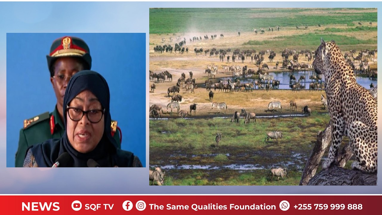 🔴LIVE: RAIS SAMIA AITAJA NGORONGORO KAMA URITHI KWA TAIFA