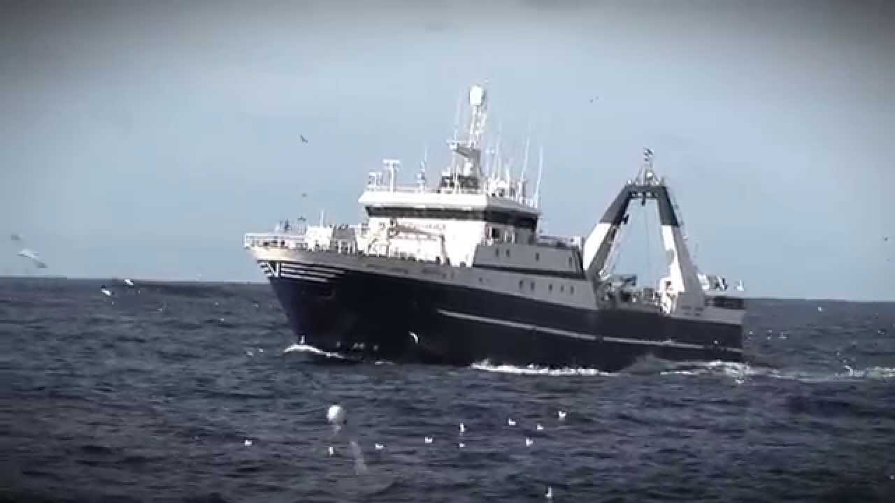 South African Deep Sea Trawl Fishery and MSC