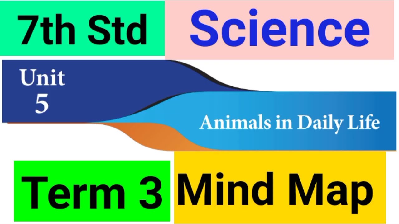 7th Std - Science | Term 3 - Unit 4 | Animals In Daily Life - Mind Map