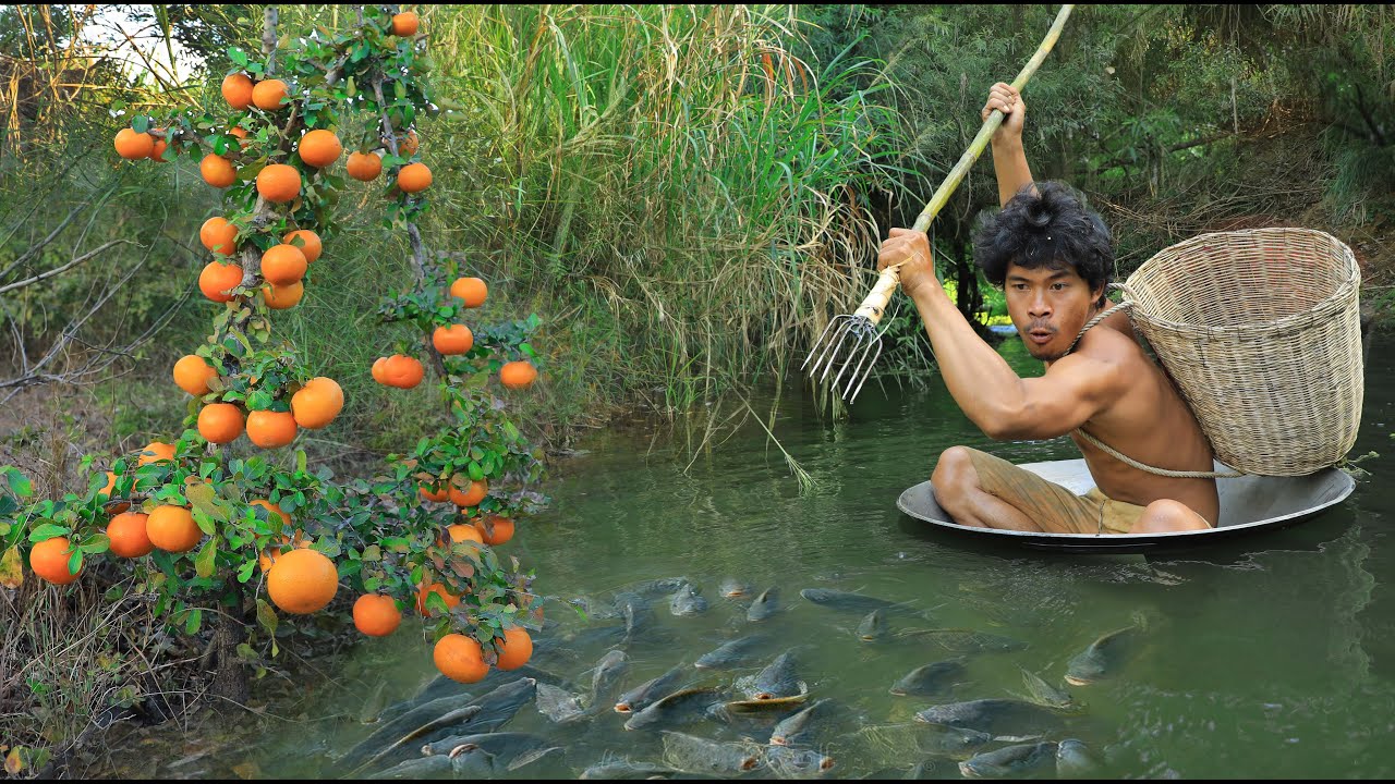 survival in the wild , big fish and apple