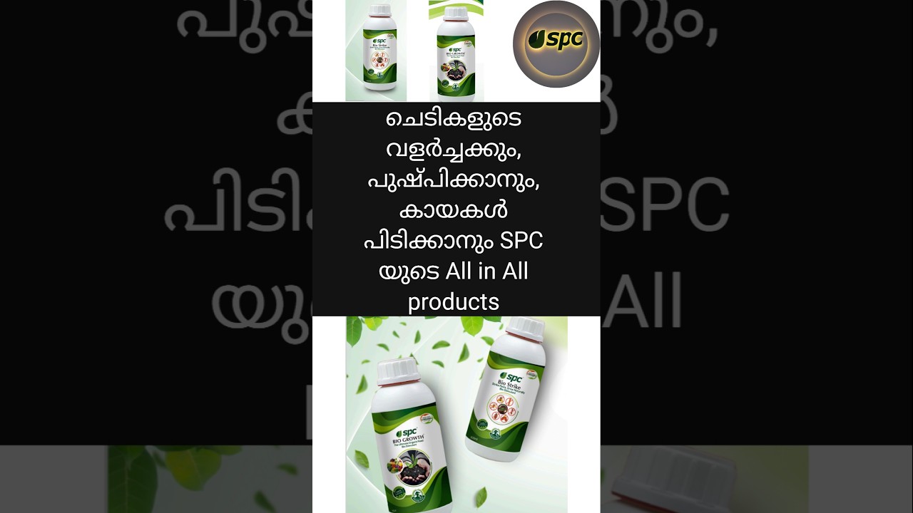 ചെടികൾക്ക് പെട്ടെന്ന് തന്നെ പുഷ്പിക്കാനും കായകൾ പിടിക്കാനും #natural