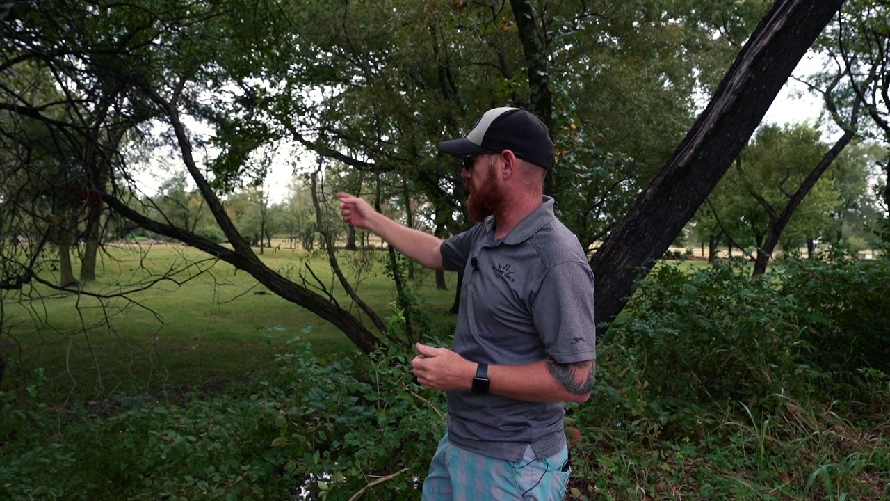 Disc Golf Course Design