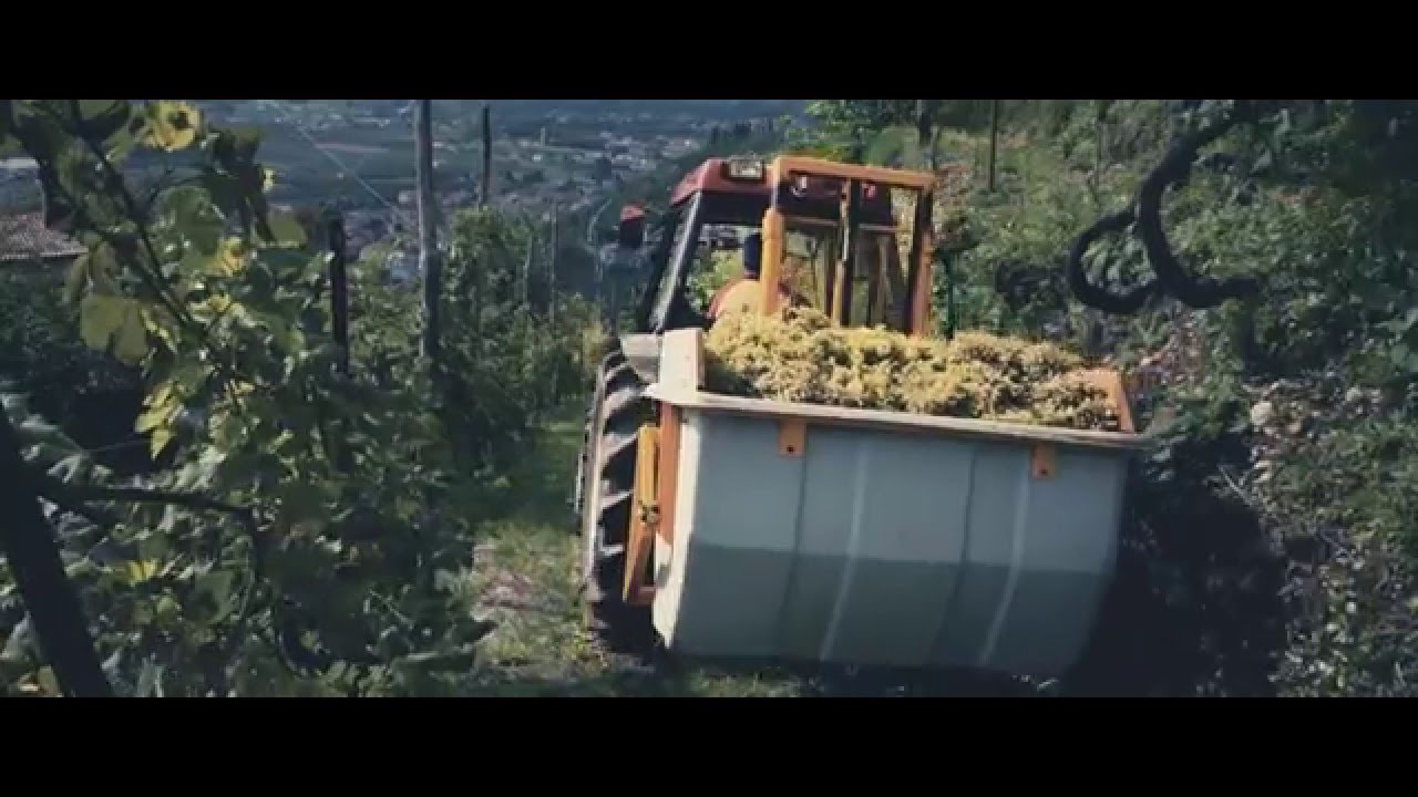 Valdobbiadene - Sz&uuml;ret