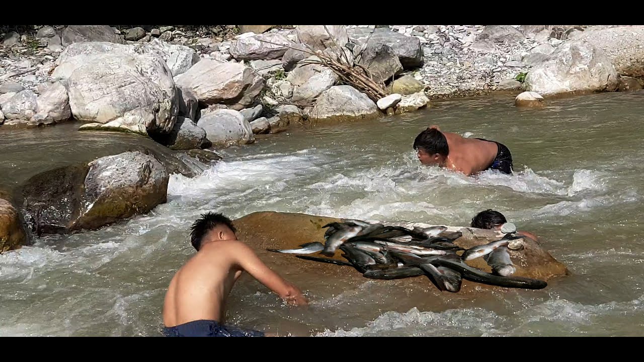 HATKELA FISHING | CATCHING FISH WITH HAND | BARE HAND FISHING | HIMALAYAN TROUT FISHING IN NEPAL |