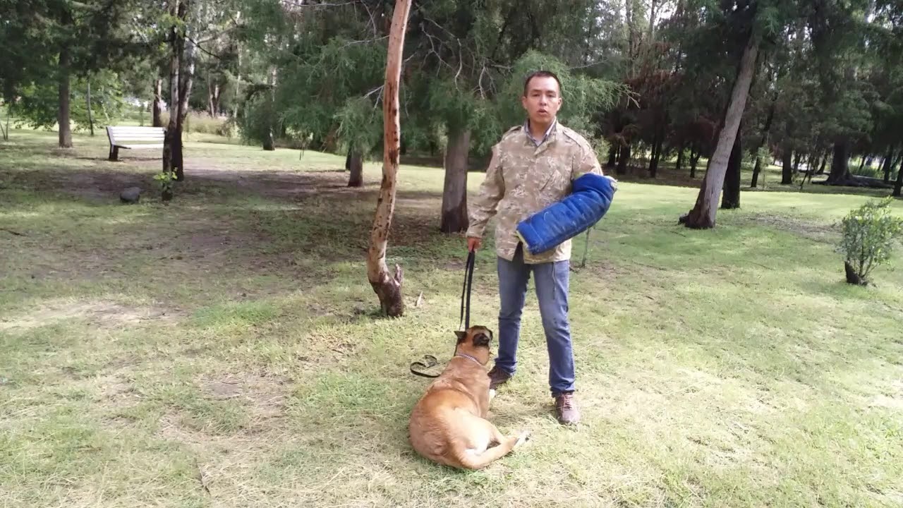 Ejercicio de mordida y suelta