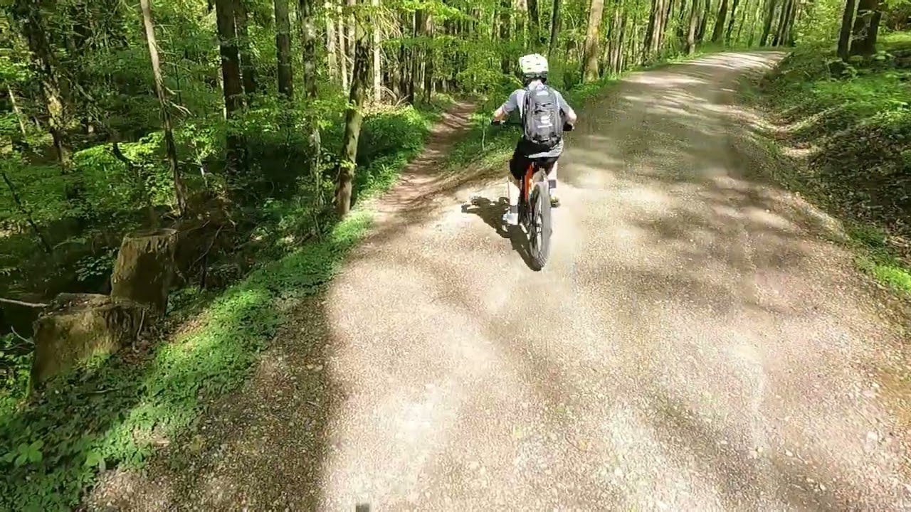 Trailige MTB Seerückentour Ermatingen, Wolfsberg, Haidenhaus, Mammern, Steckborn, Ermatingen