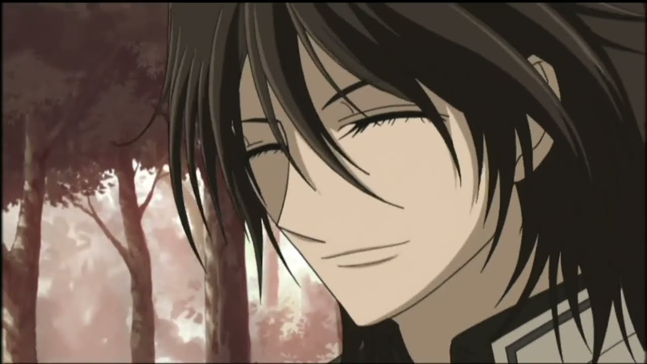 Holding out for a Vampire Knight
