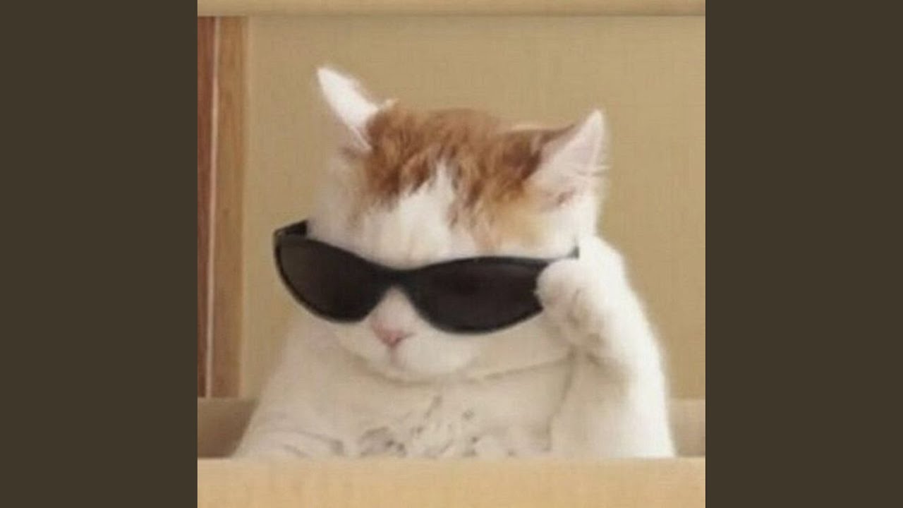 Chipi Chipi Chapa Chapa