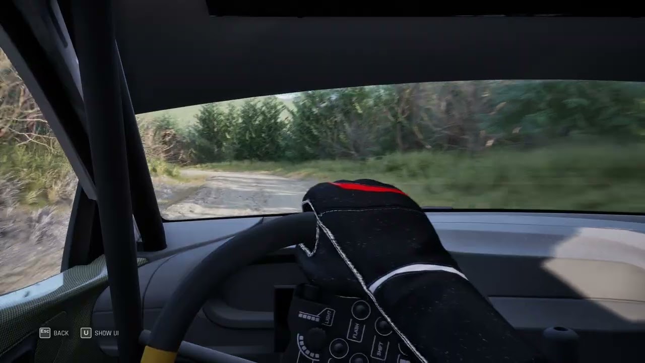 Assetto Corsa RALLY | Hyundai i20 | WALES Afon Bidno - Severn | 02:50:044