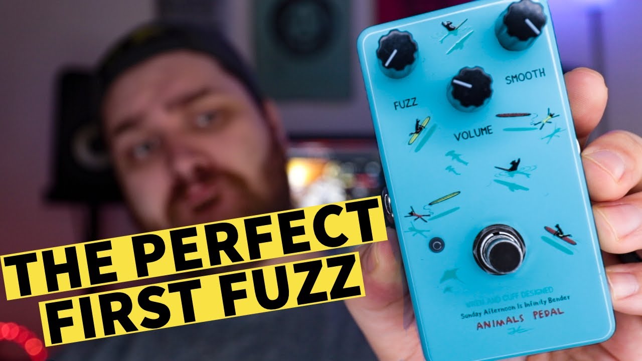THIS should be your very first fuzz