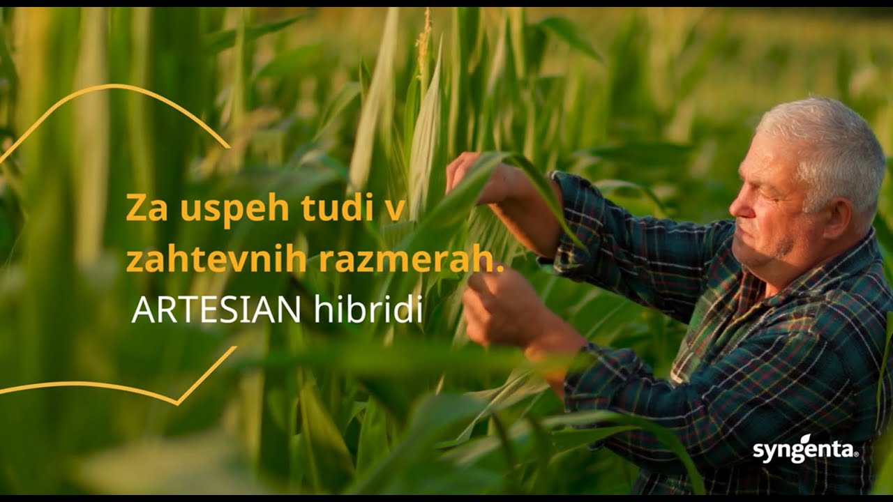 Artesian,   stabilni, visoki in zdravi pridelki