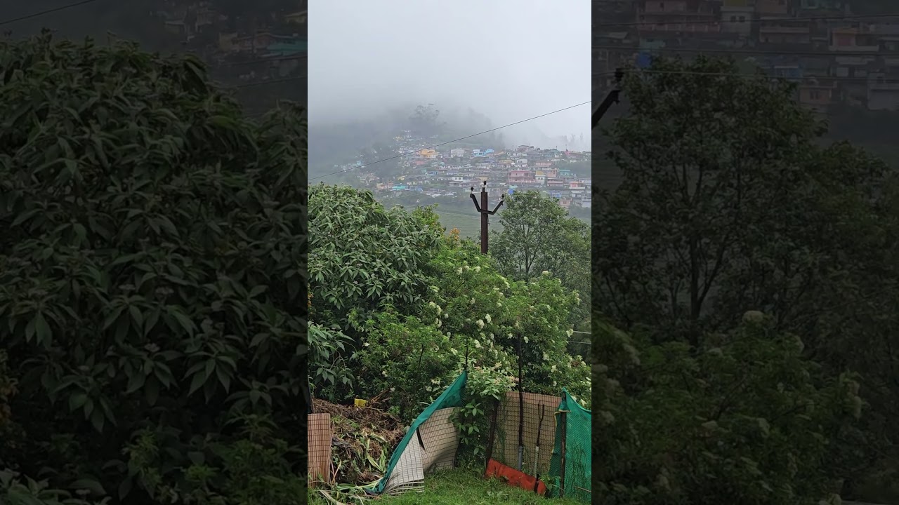 Ooty weather