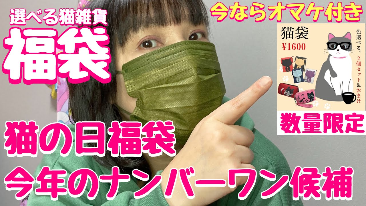 【福袋】可愛くて超お得！選べる猫の日福袋（選びきれなくて２セット購入）2023楽天市場