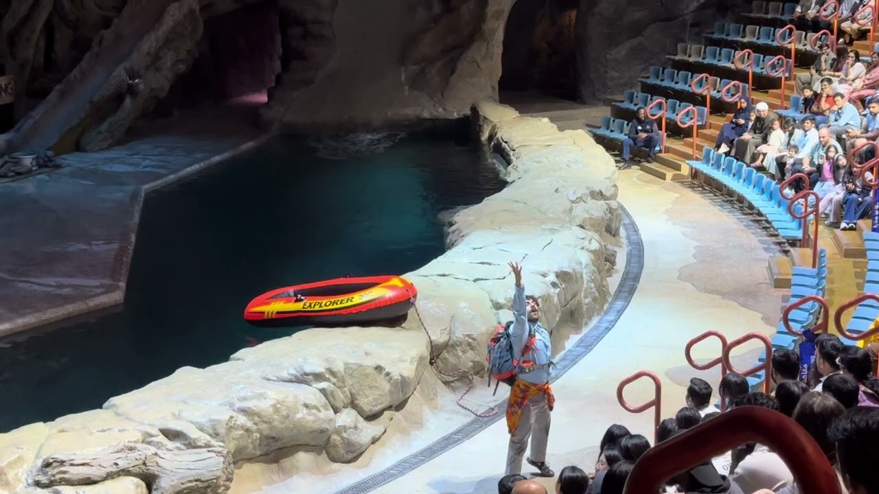 Sea Lion Show - Sea World Abu dhabi 