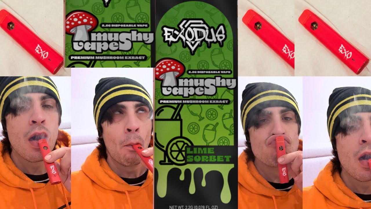 Mushroom Vape with HHC & Muscimol Review x Exodus Mushy Vapes 🍄💨