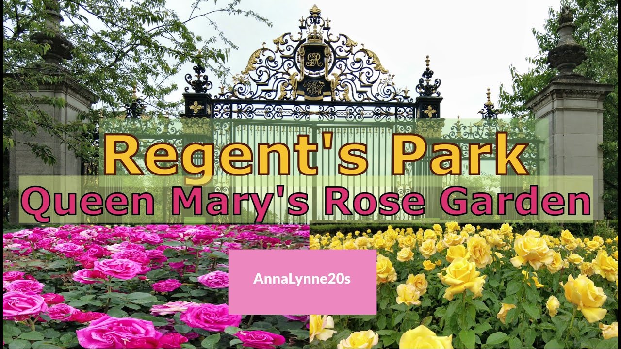Regents Park - Queen  Mary's Garden - Royal Park - English Rose Garden Relaxing Summer Walk London