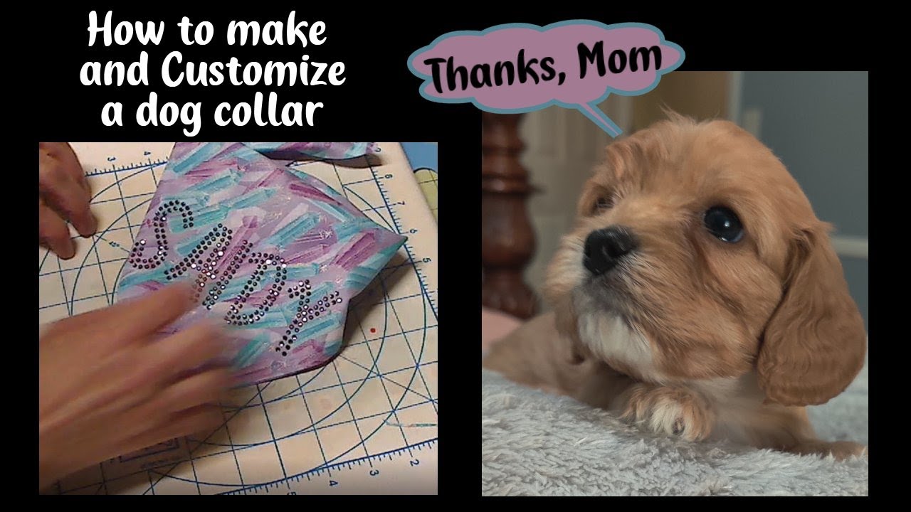 Customize a Dog Collar with Rhinestones for Selling