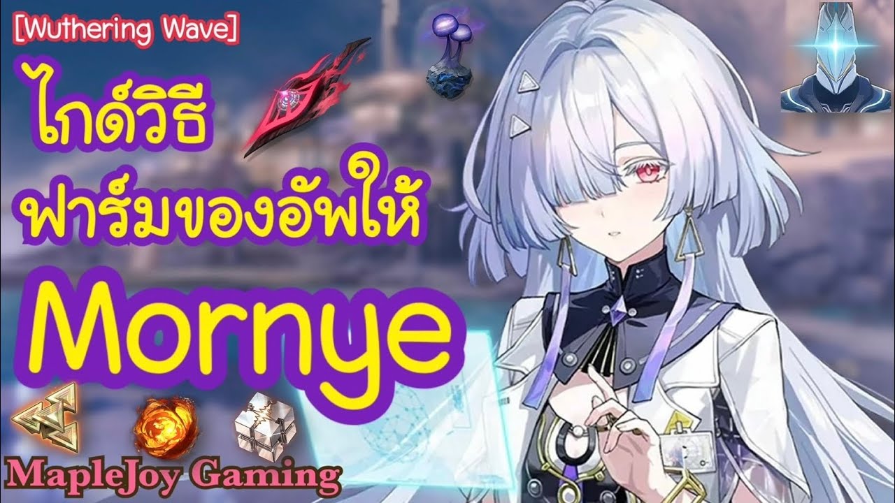 [Wuthering Wave] ไกด์วิธี ฟาร์มของอัพให้ Mornye | อัพเลเวลตัวละคร+สกิล | @MapleJoyGaming ​