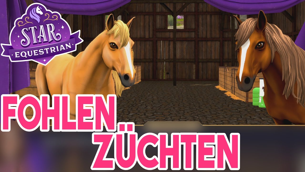 Ein Fohlen für John 🦄 Star Equestrian PC