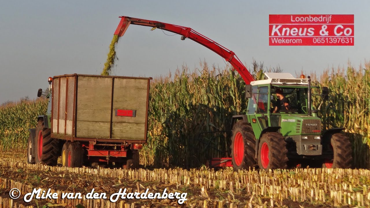 Fendt Farmer 308 LSA Turbomatik / 4 rijer / Kneus & Co / Nederland / Mais 2014.