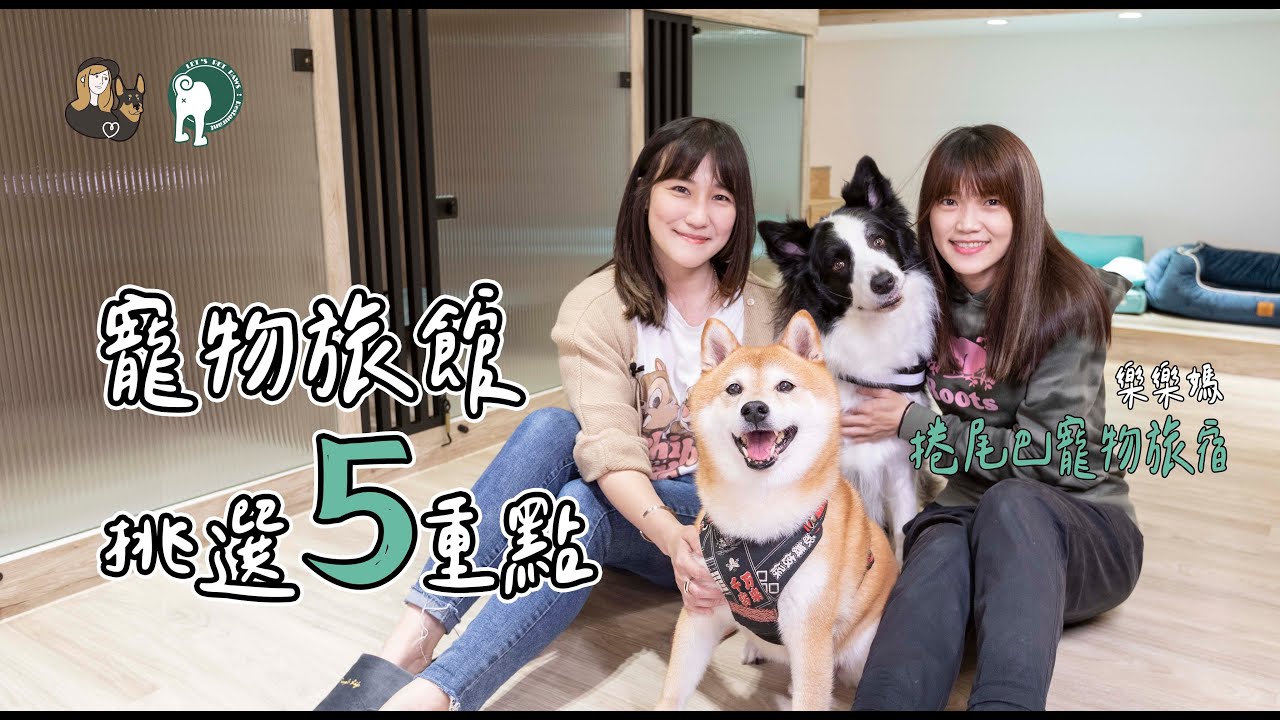 毛孩教育｜挑選寵物旅館5重點 ! ft.捲尾巴寵物旅宿｜經理在幹嘛