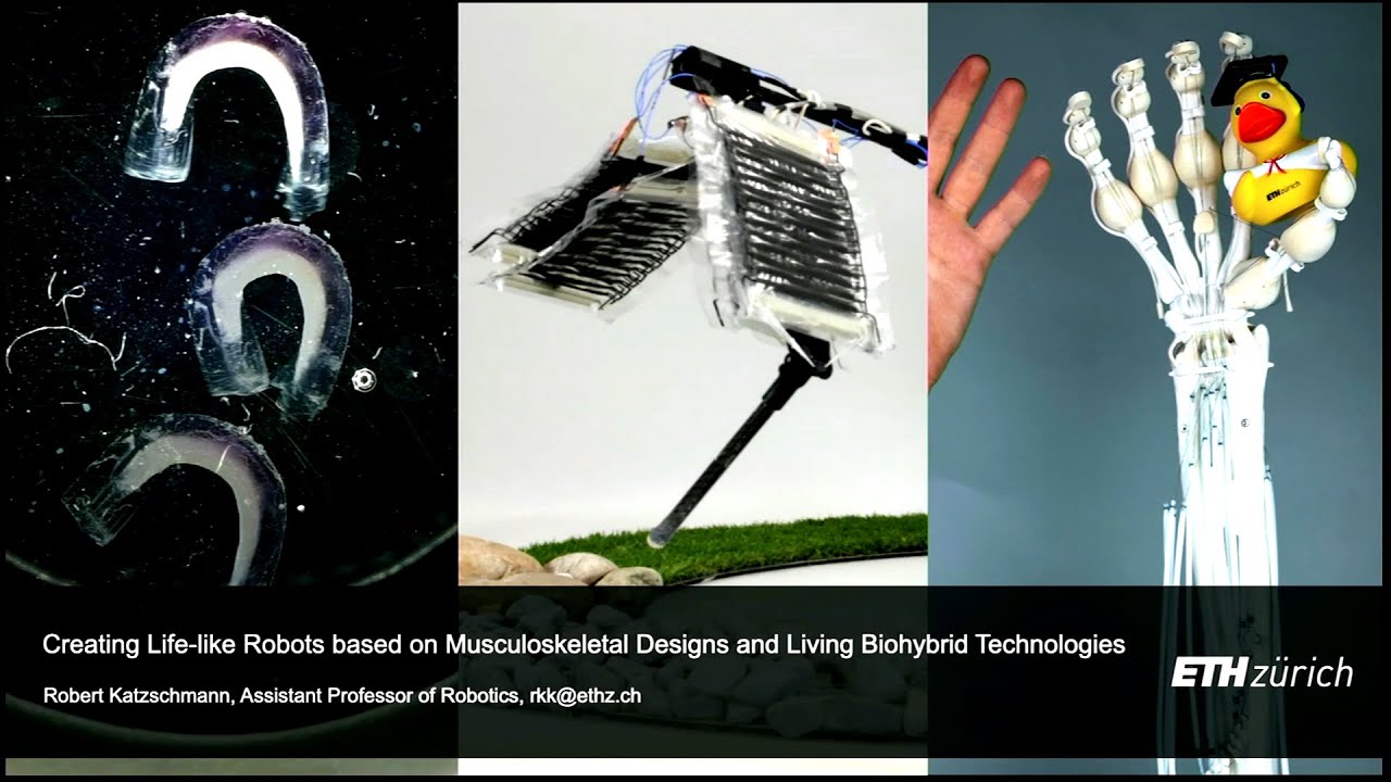 Robert Katzschmann - Creating Life-like Robots Based on Musculoskeletal Designs & Biohybrid Tech