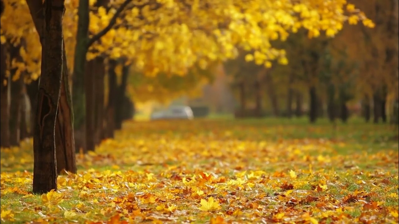 Peaceful Piano Music | Journey Through the Countryside