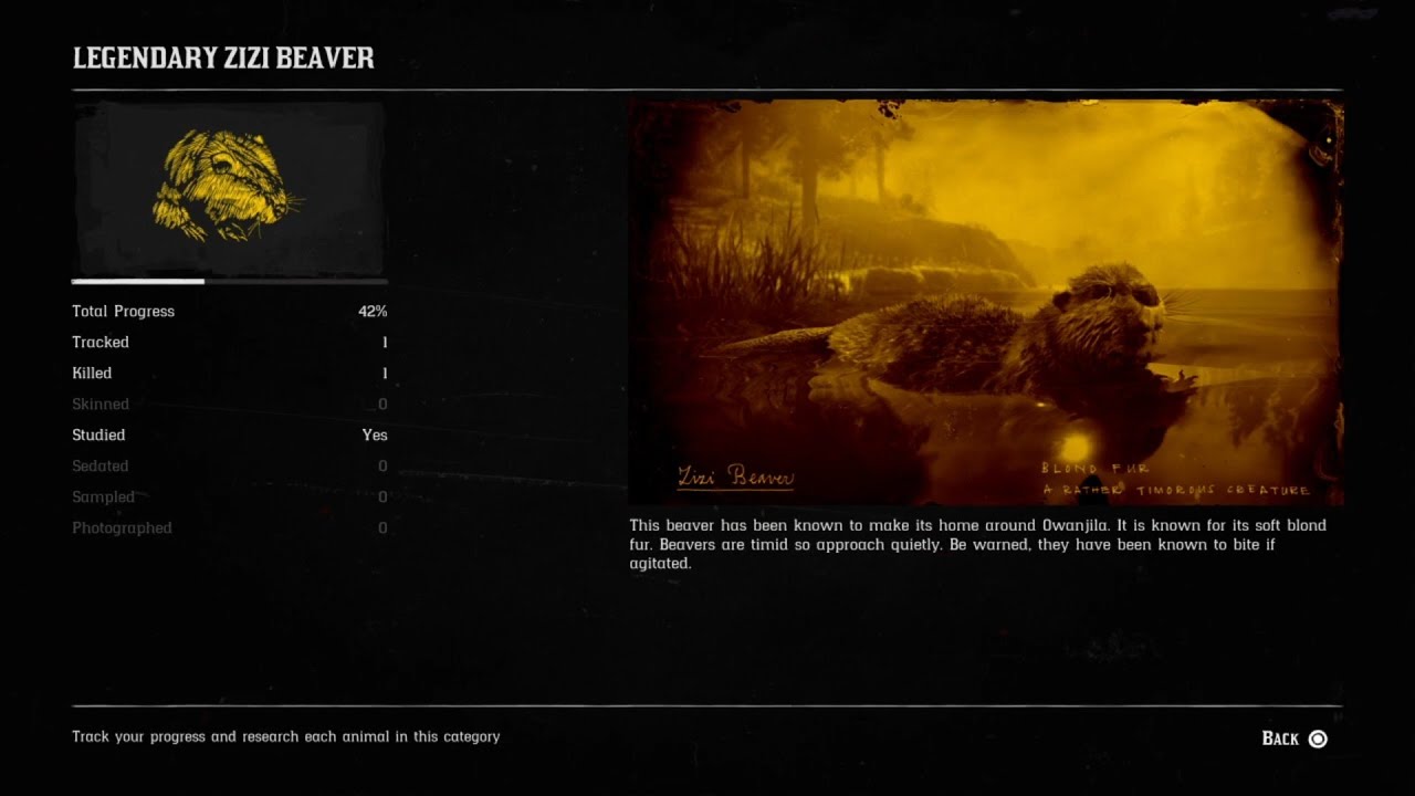 Red Dead Online Legendary Zizi Beaver (Legendary Animal Red Dead Online)