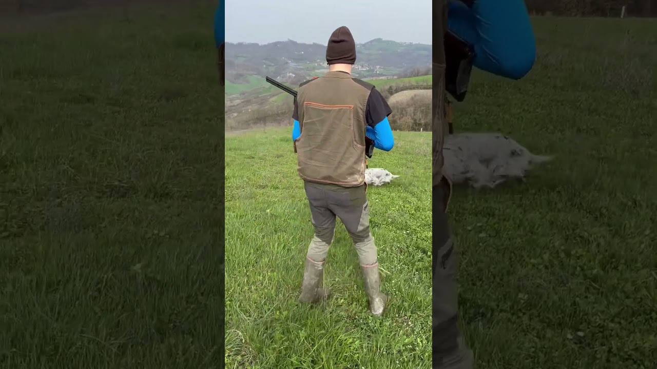 ferma su quaglia