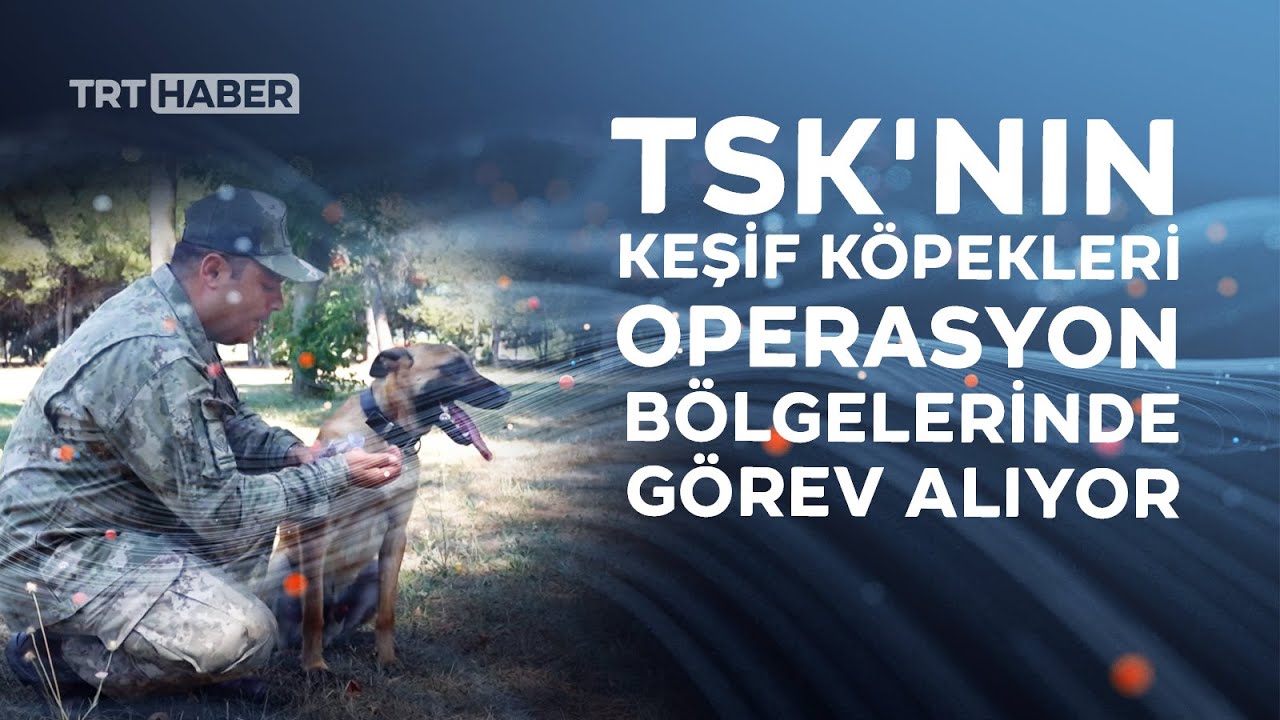 TSK'nın keşif köpekleri operasyon bölgelerinde görev alıyor