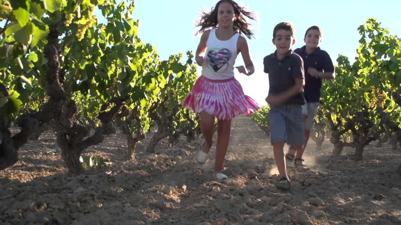 Vídeo promocional - Vilafranca Capital del Vi