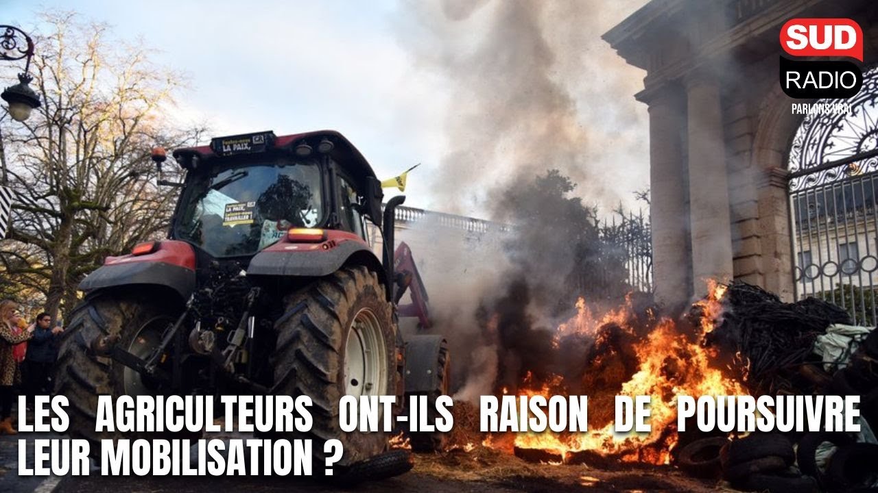 Les Vraies Voix - Émission du 21 janvier 2026