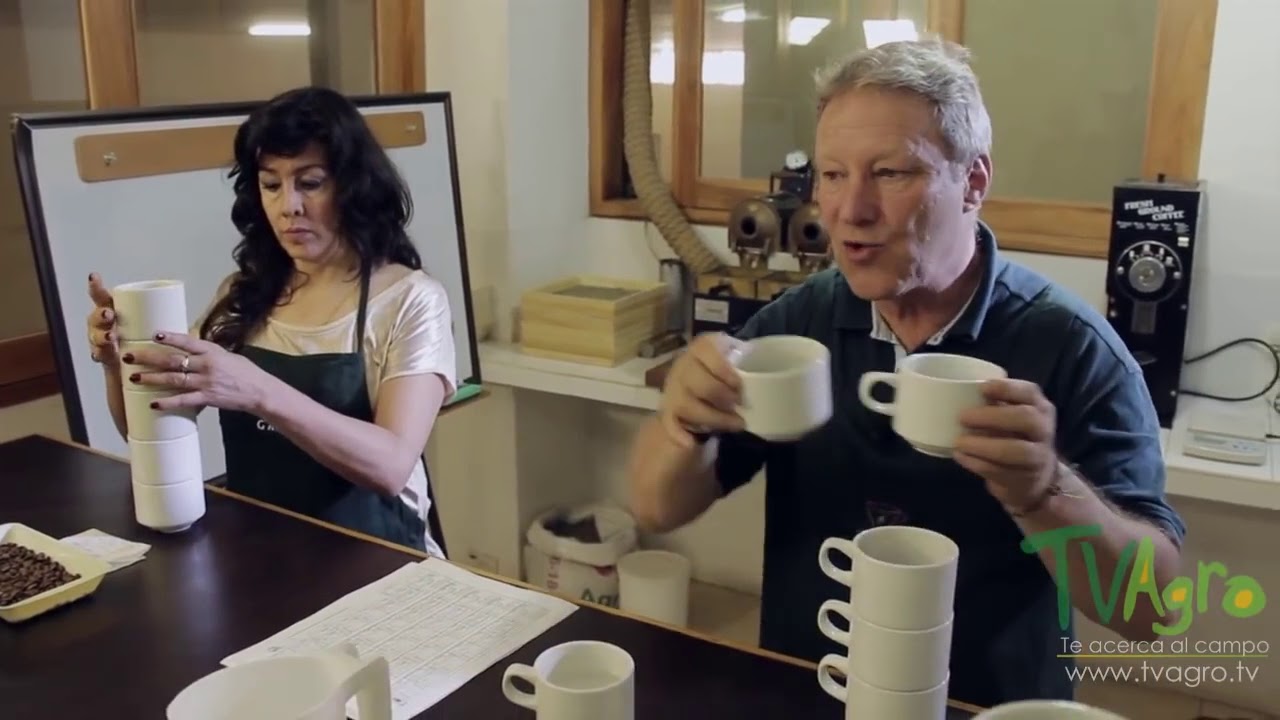 Cómo se  Realiza el Proceso de Cata de Café por Juan Gonzalo Angel