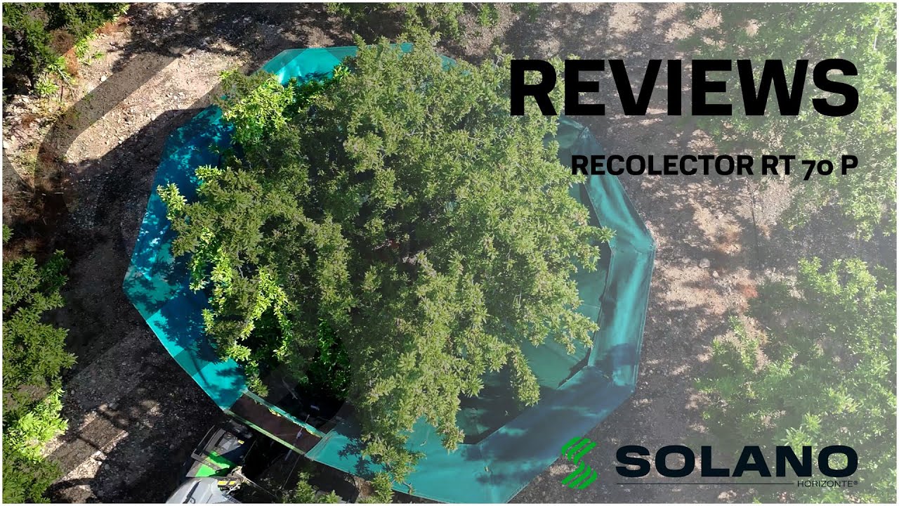 Félix de hermanos segura nos cuenta su experiencia con el recolector RT 70 P - Solano Horizonte