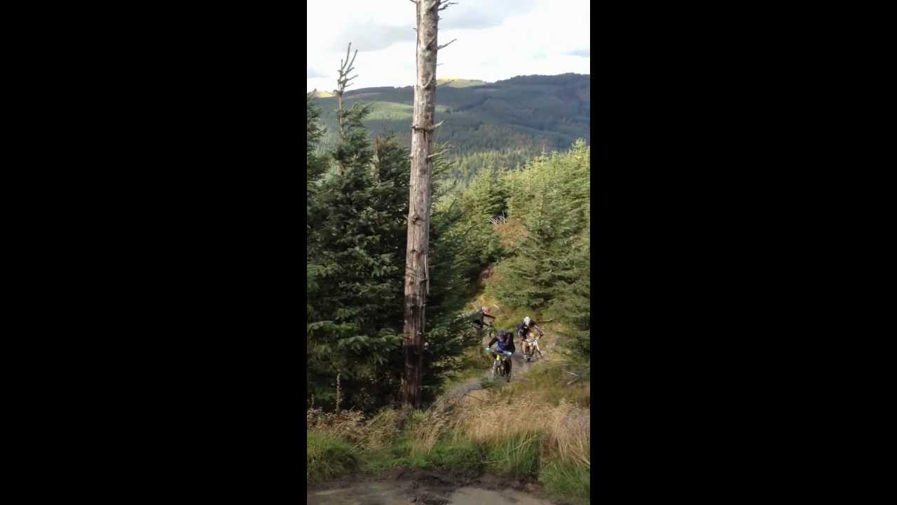 Whinlatter forest south last climb to the top